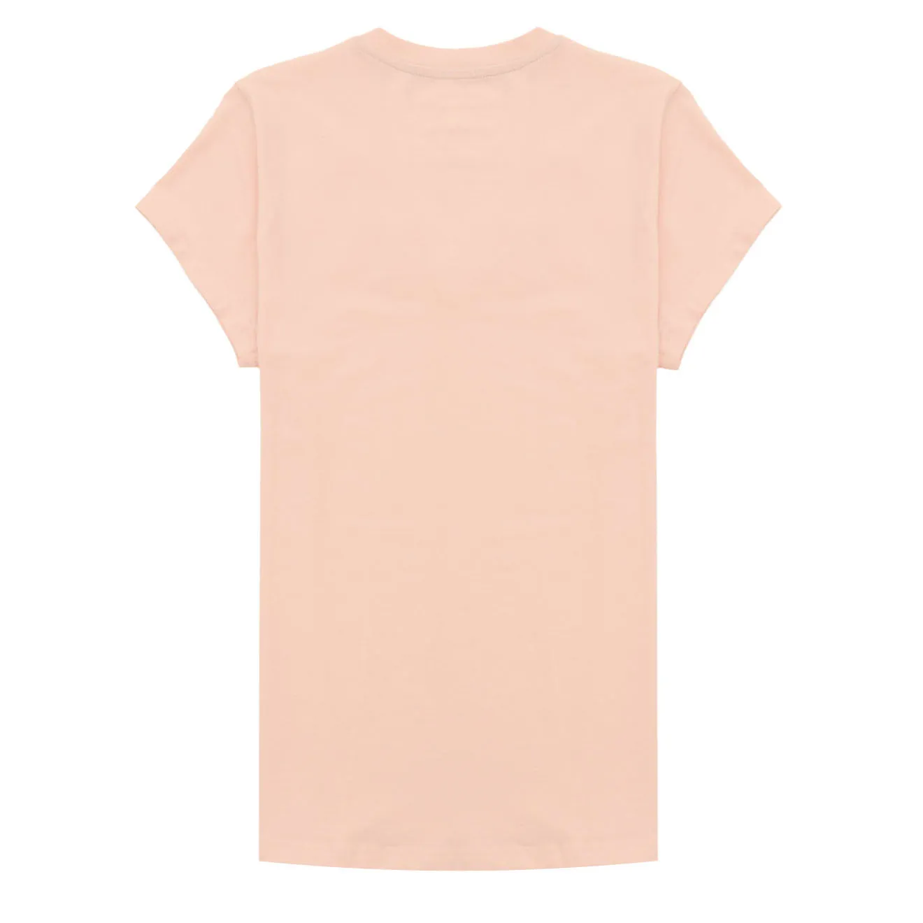 Ariat Womens Vertical Logo V T-Shirt Blushing Rose