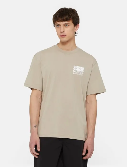 Dickies Saltville T-shirt - Beige