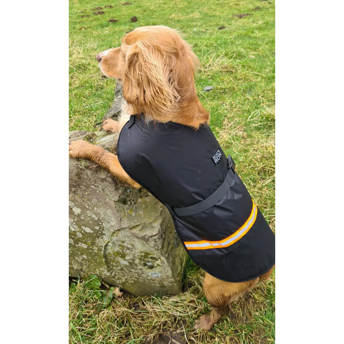 Rock   Run Dogs Fell Jacket